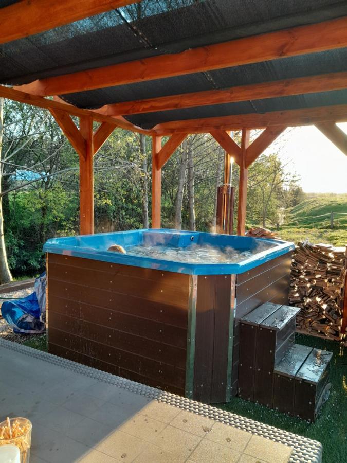 Pensjonat Agroturystyczny Pod Modrzewiem Bed and Breakfast Florczaki Eksteriør billede